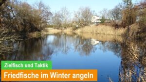 Read more about the article Friedfische fangen beim Winterangeln