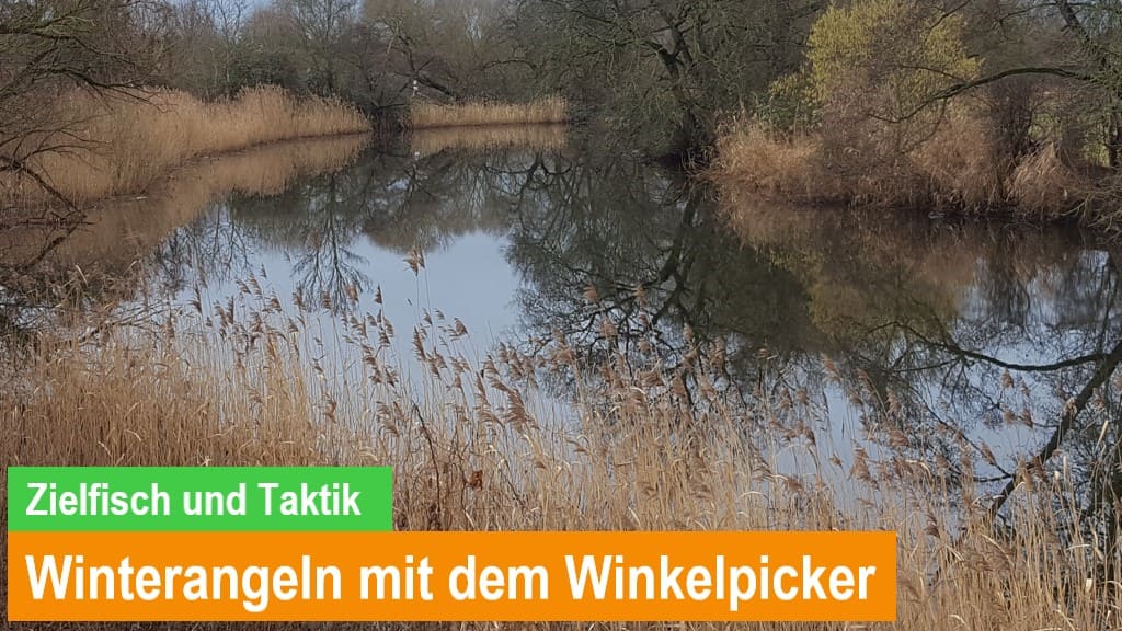 Read more about the article Angeln im Winter mit dem Winkelpicker