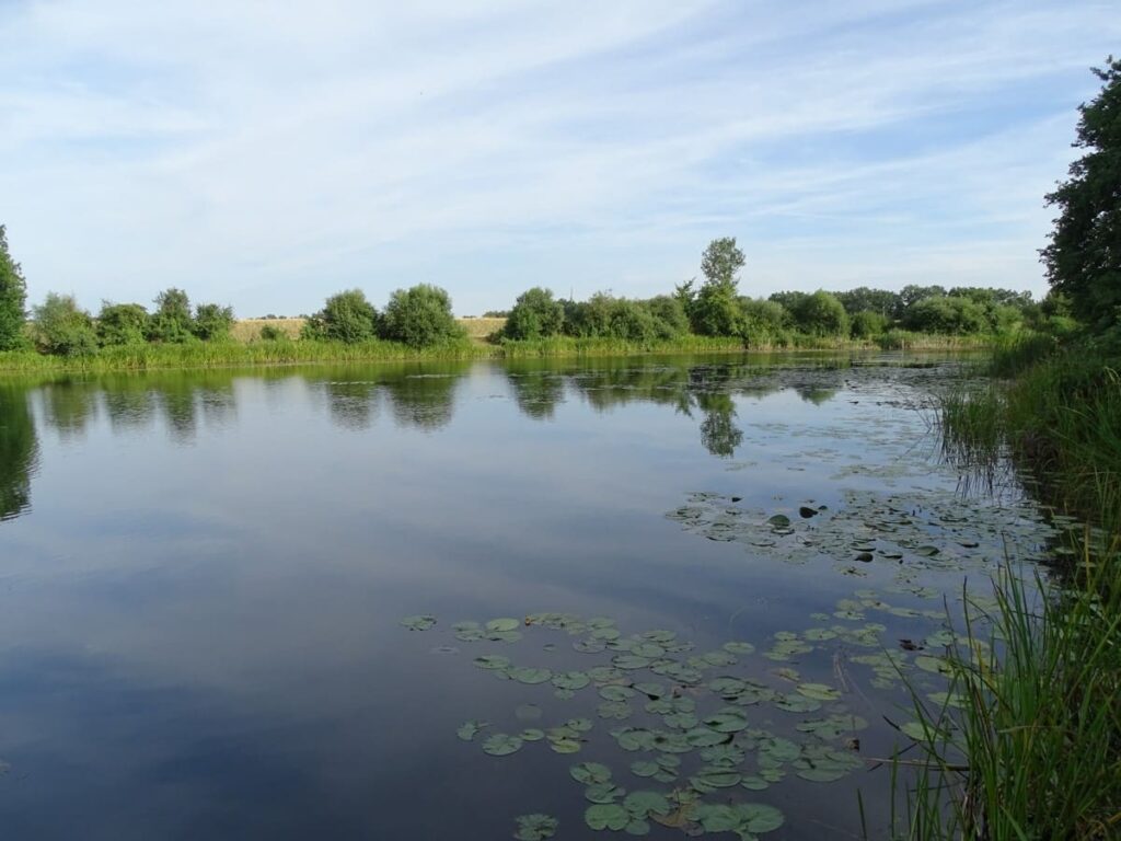 Naturgewaesser Scholitzer See