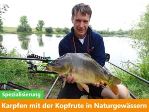 Read more about the article Karpfen mit der Kopfrute in Naturgewässern