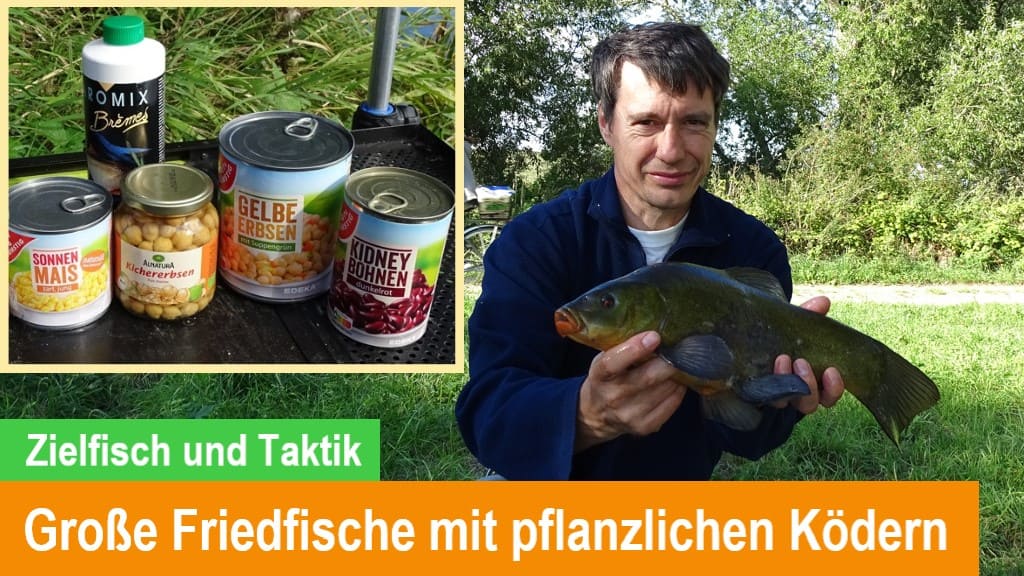 You are currently viewing Große Friedfische mit pflanzlichen Ködern