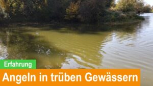 Read more about the article Angeln in trüben Gewässern