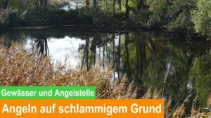 Read more about the article Angeln auf schlammigem Grund