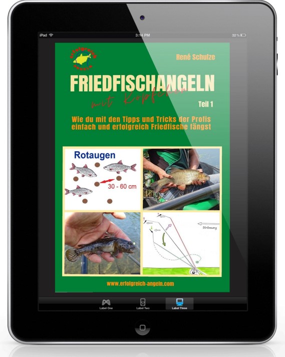 Friedfischangeln E-Book