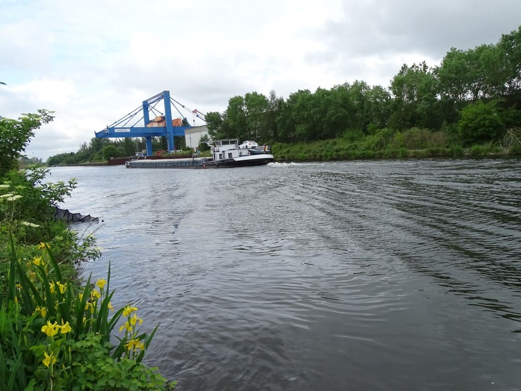 Brassen im Elbe-Havel-Kanal