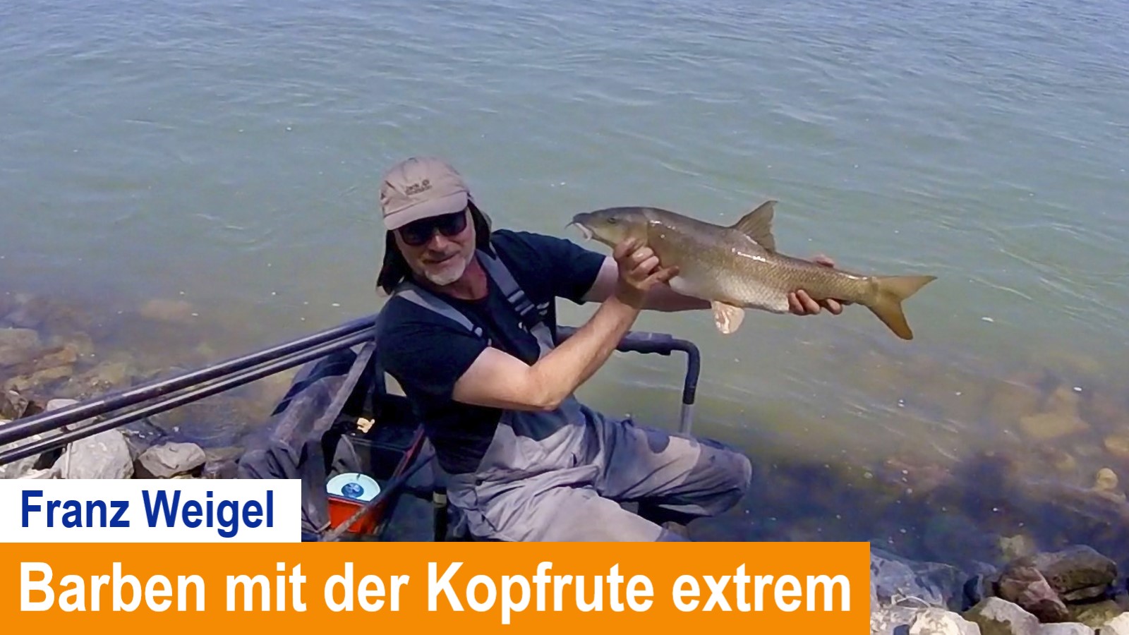 You are currently viewing Barben mit der Kopfrute extrem